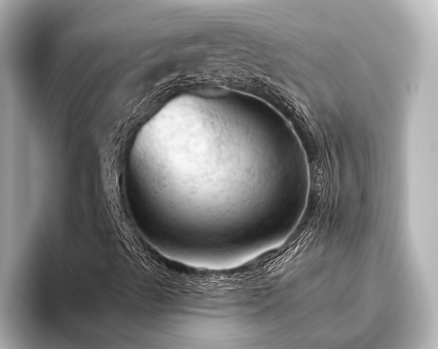 X0000096491489200801241454