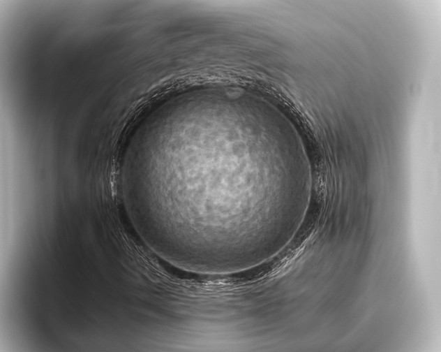 X0000096491490200801241454