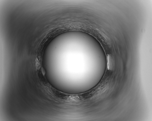 X0000096491491200801241454