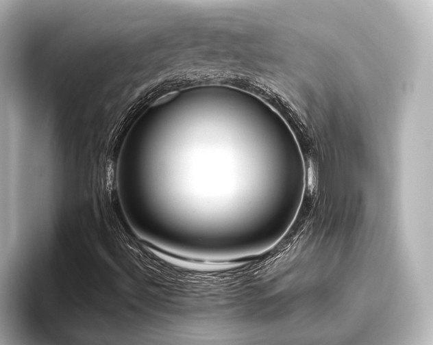 X0000096491492200801241454