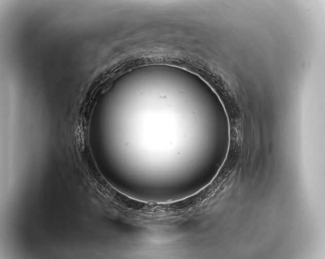 X0000096491493200801241454