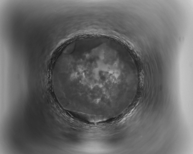 X0000096491494200801241454