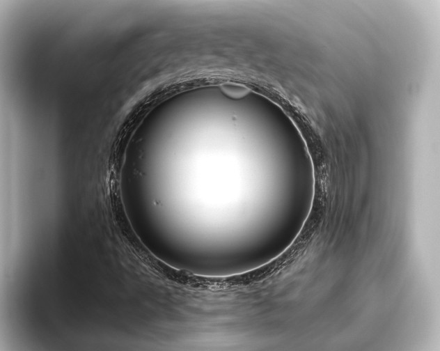 X0000096491495200801241454