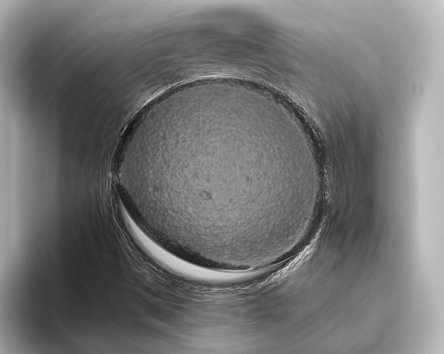 X0000096491497200801241454
