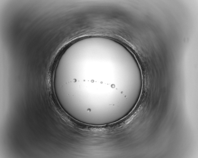 X0000096491498200801241454