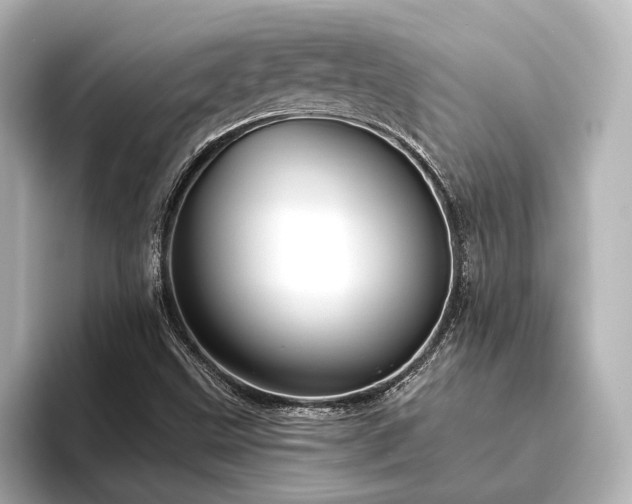 X0000096491499200801241454