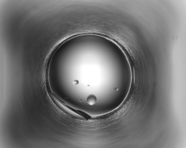 X0000096491500200801241454