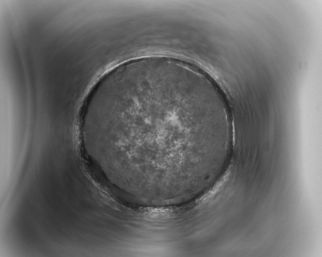 X0000096491501200801241454
