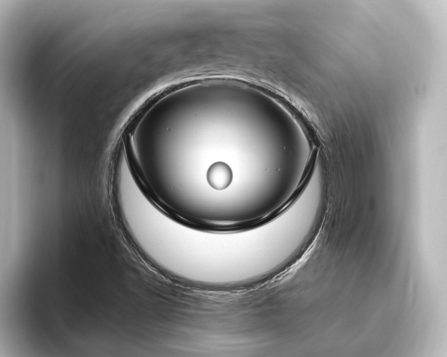 X0000096491502200801241454