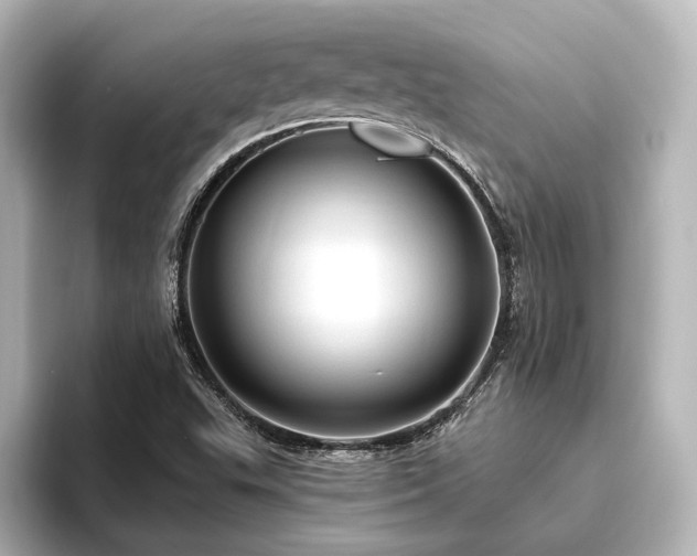 X0000096491503200801241454