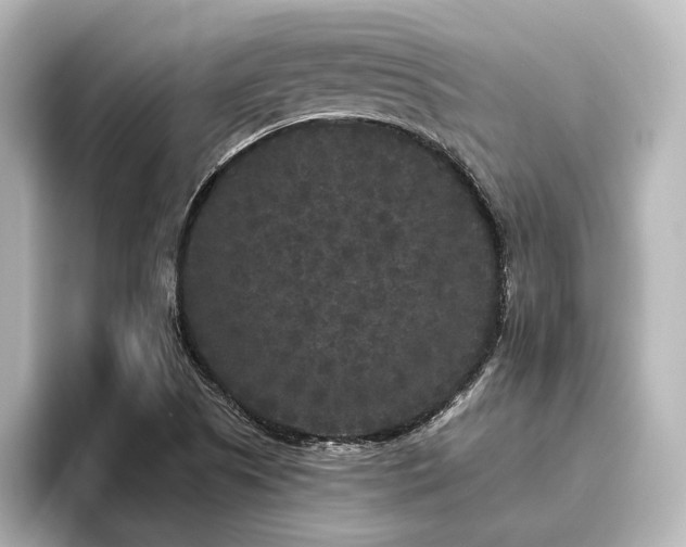 X0000096491505200801241454