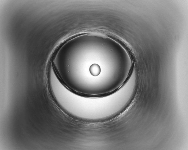 X0000096491506200801241454