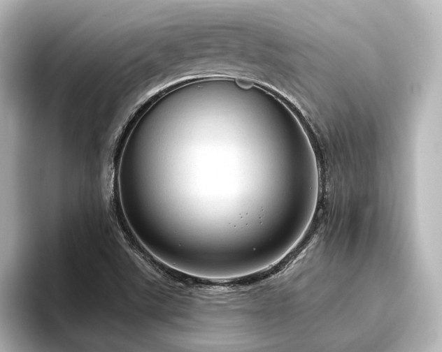 X0000096491507200801241454