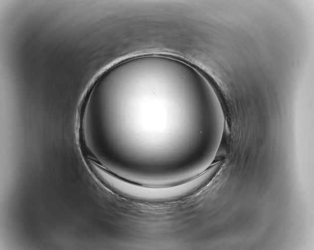 X0000096491508200801241454