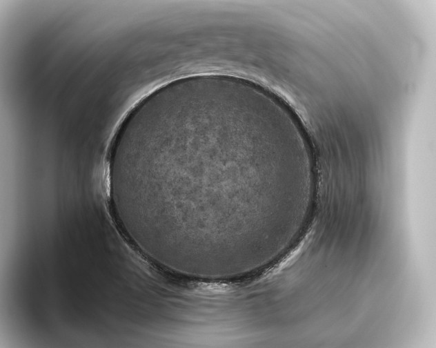 X0000096491509200801241454