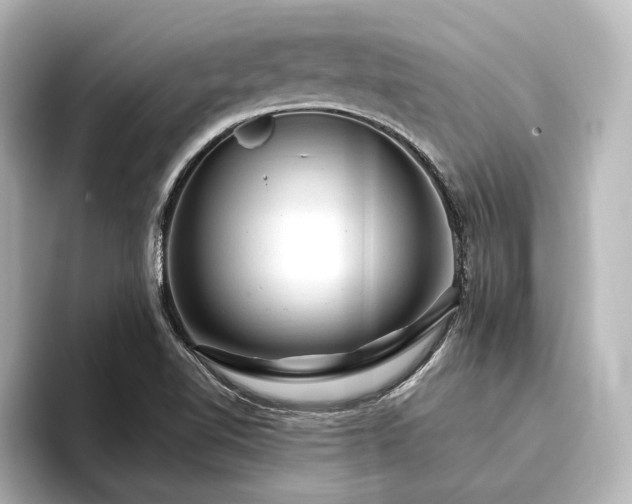 X0000096491510200801241454