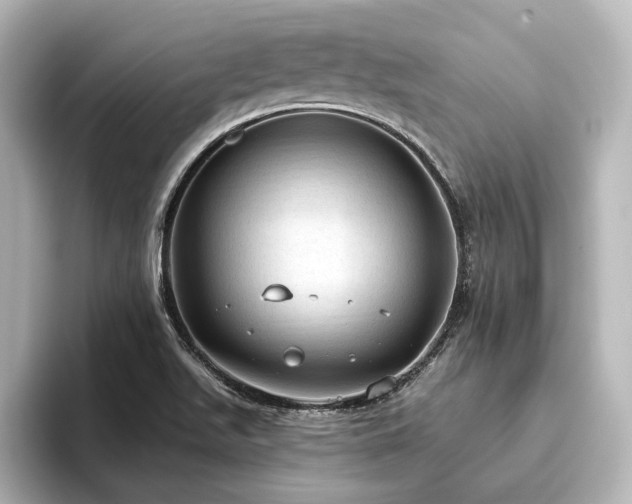 X0000096491511200801241454