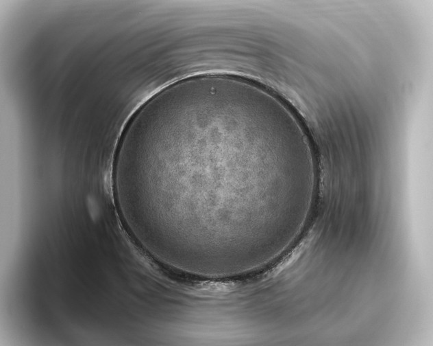 X0000096491513200801241454