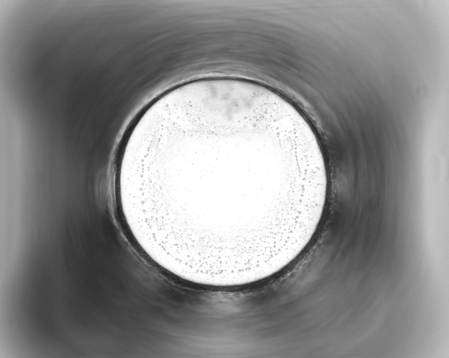 X0000096491514200801241454