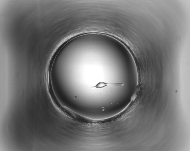 X0000096491515200801241454