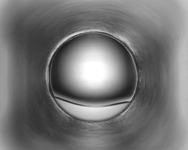 X0000096491516200801241454