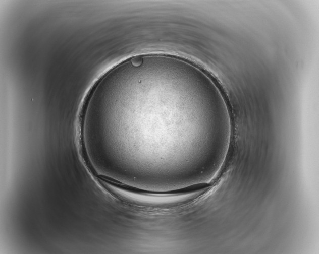 X0000096491517200801241454