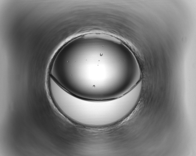 X0000096491518200801241454