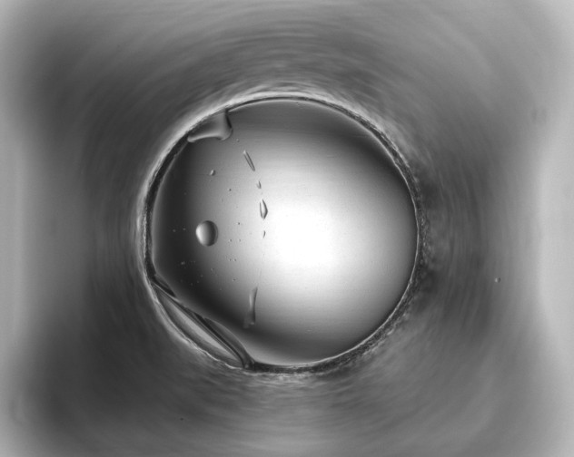 X0000096491519200801241454