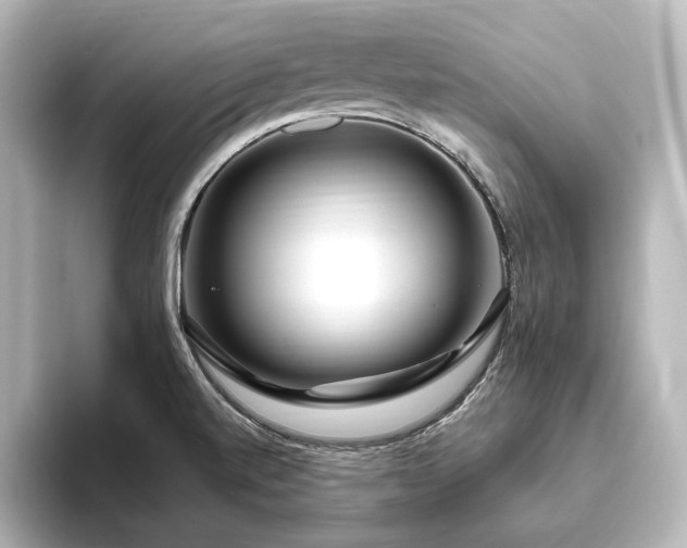 X0000096491520200801241454