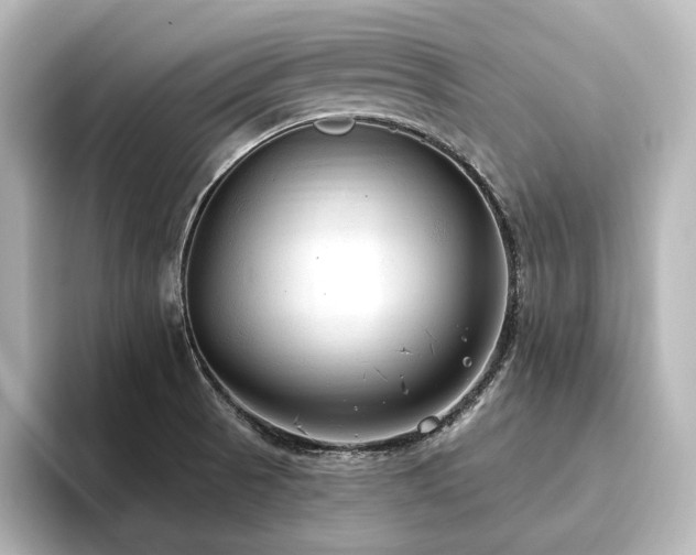 X0000096491521200801241454