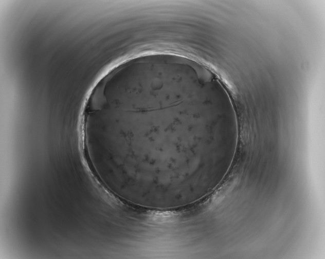 X0000096491522200801241454
