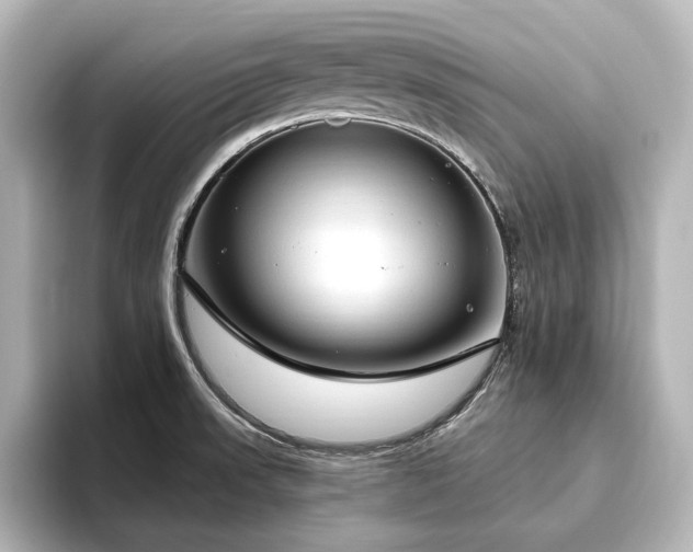 X0000096491523200801241454