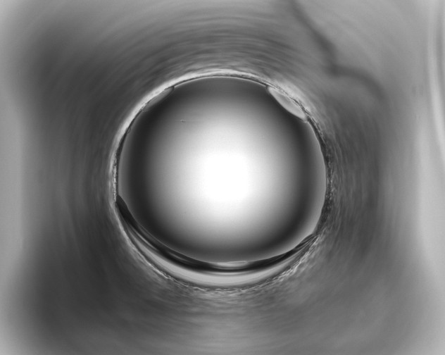X0000096491524200801241454