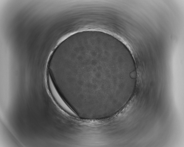 X0000096491525200801241454