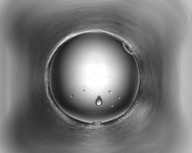 X0000096491526200801241454