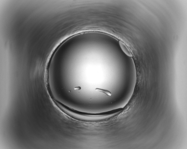X0000096491527200801241454