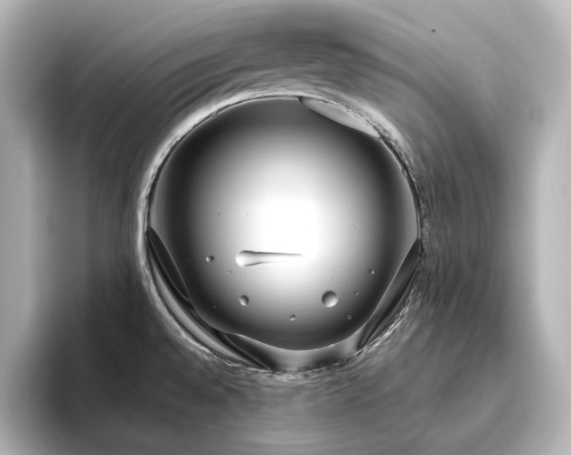 X0000096491528200801241454