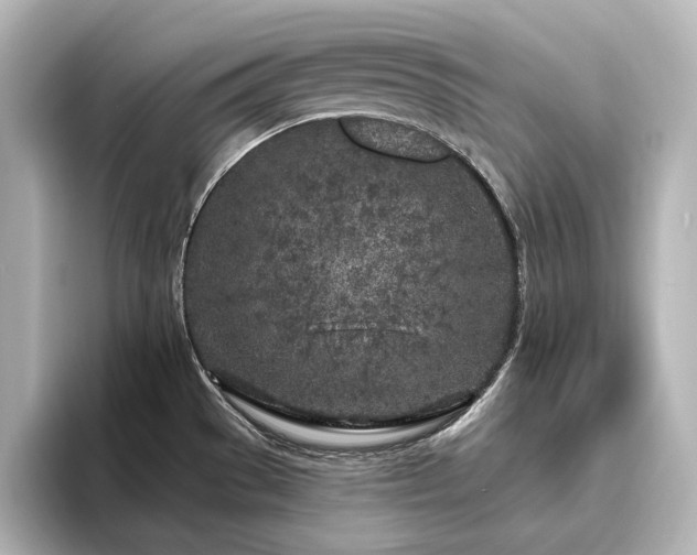 X0000096491529200801241454