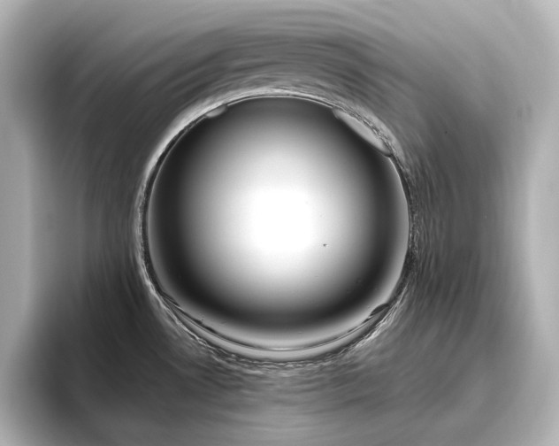 X0000096491530200801241454