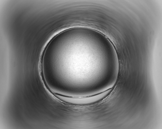 X0000096491531200801241454
