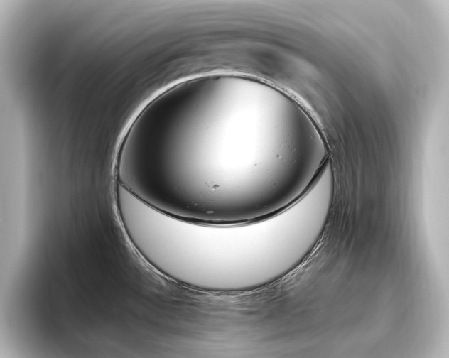 X0000096491532200801241454