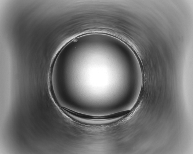 X0000096491533200801241454