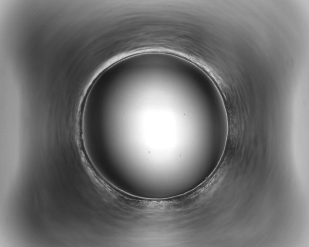 X0000096491534200801241454