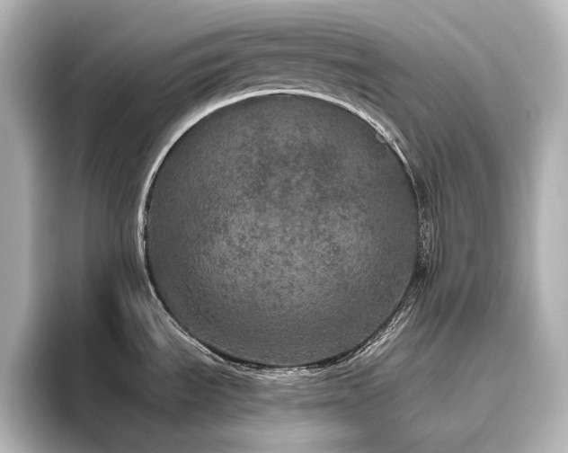 X0000096491535200801241454