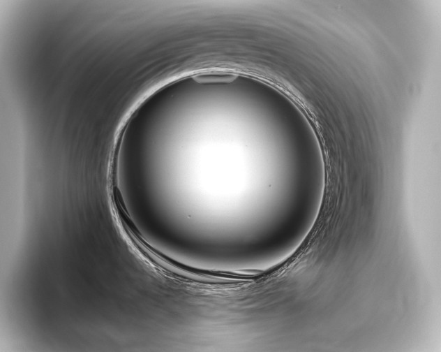 X0000096491536200801241454