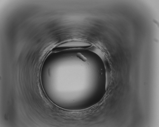 X0000096490001200801311628