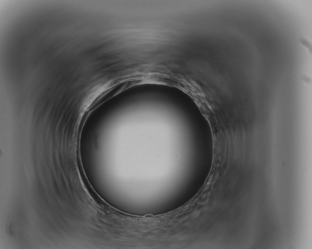 X0000096490003200801311628