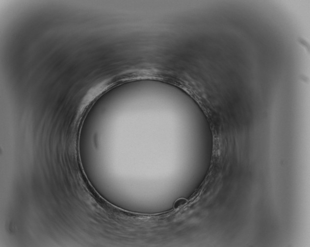 X0000096490004200801311628