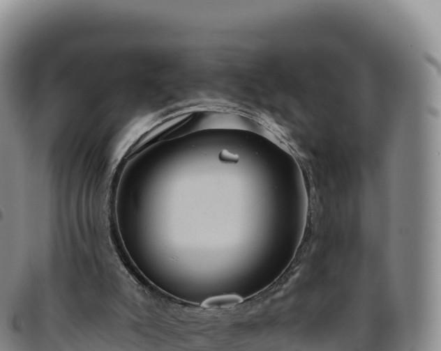 X0000096490007200801311628