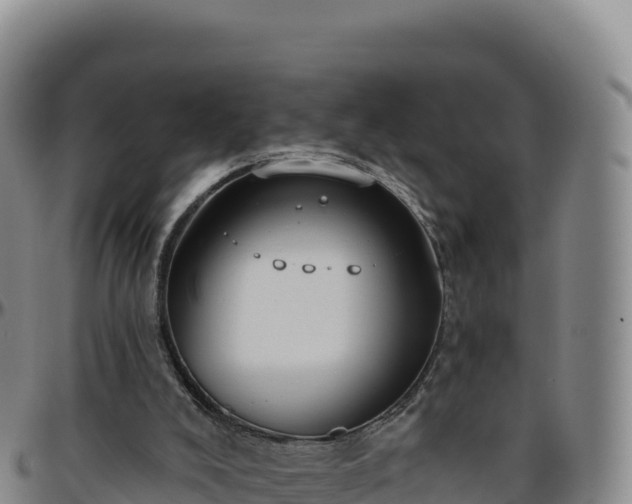 X0000096490008200801311628